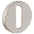 door silver_escutcheon_oval