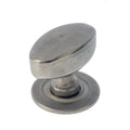 Oval knob with backplate